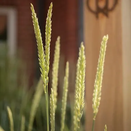Onno Boutique Hotel & Apartments